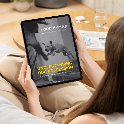 Understanding Dog Aggression book cover