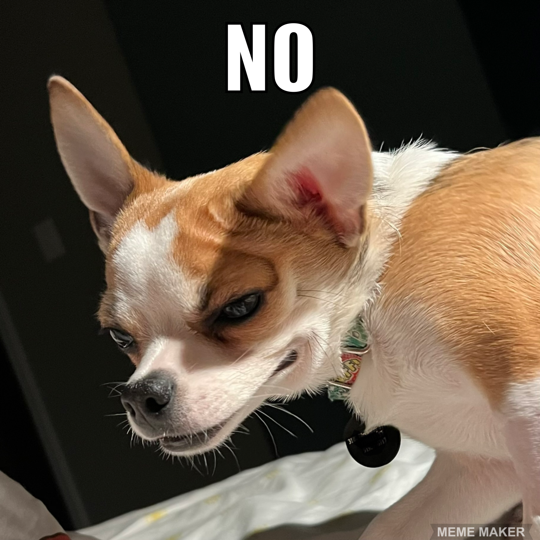 20 Signs Your Dog Is Stressed Out