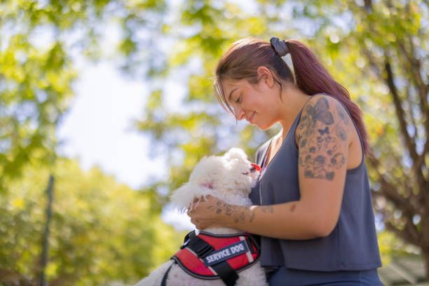 Service Dog Training Tasks