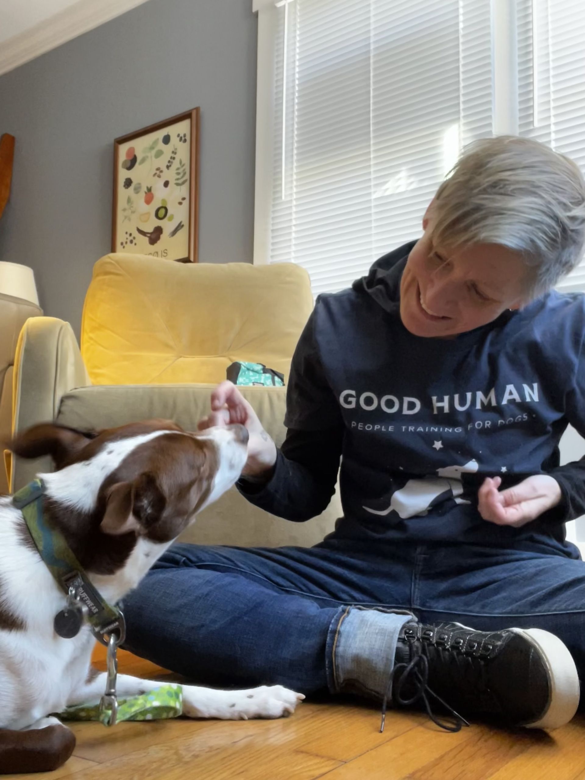7 Crucial Qualities to Look for in a Dog Trainer