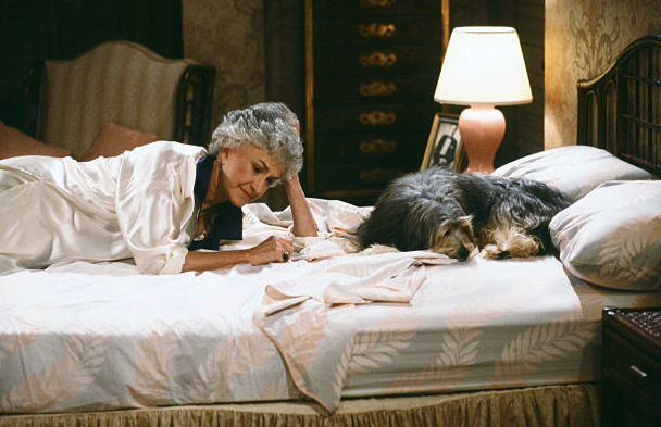 Is Your Dog Ruining your Love Life?