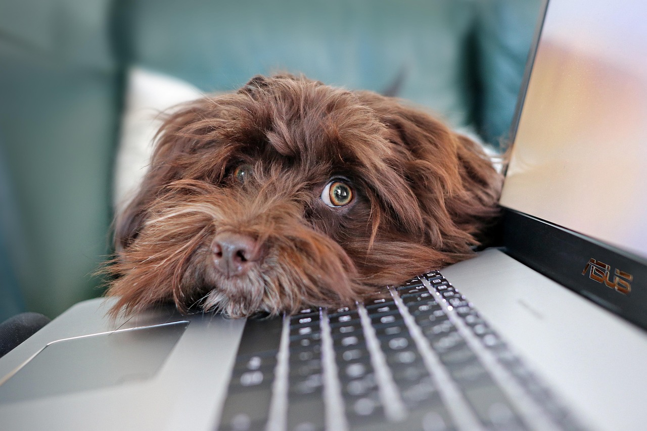 6 Powerful Benefits of Virtual Behavior Consulting
