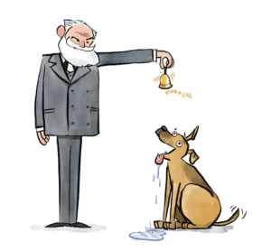 a man holding a bell to a dog